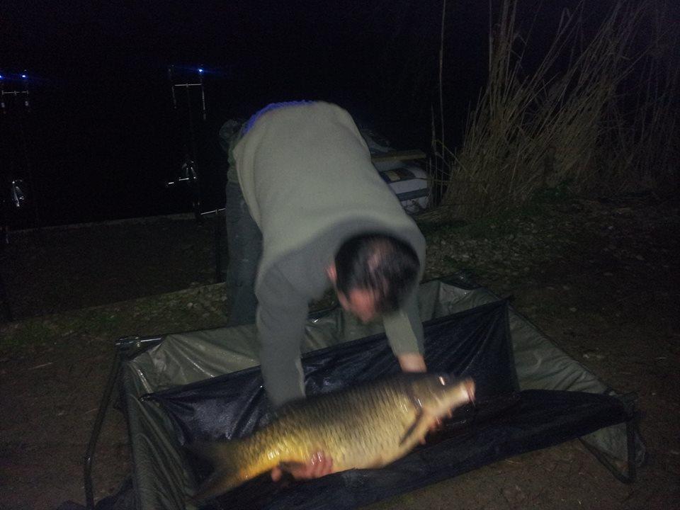 Tancabesti 28 - 29 mar. - 19746366601882006956511336550399n.jpg